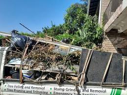 Trusted Laguna Heights, TX Junk Removal Services Experts